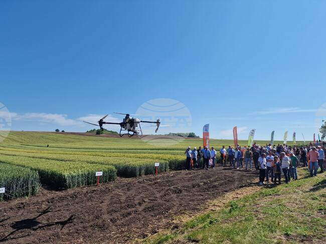 Лозница - Ден на пшеницата - зърнопроизводител - демонстрация