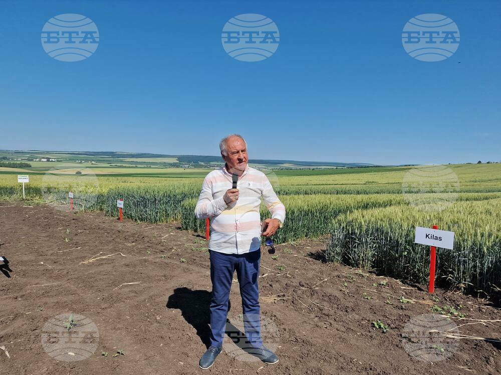 Лозница - Ден на пшеницата - зърнопроизводител - демонстрация