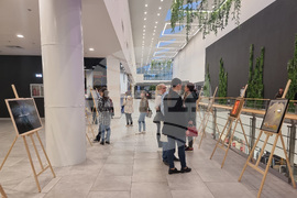 Стара Загора - Арт булевард - изложба