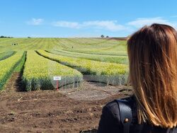 Снимка: Областна администрация – Разград