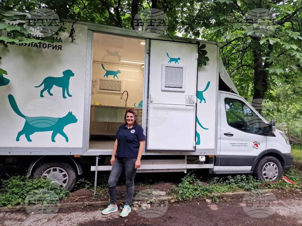 Над 100 бездомни котки са кастрирани в рамките на съвместната кампания на „Четири лапи“ и район „Средец“