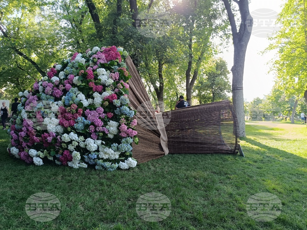 Румъния - фестивал на цветята