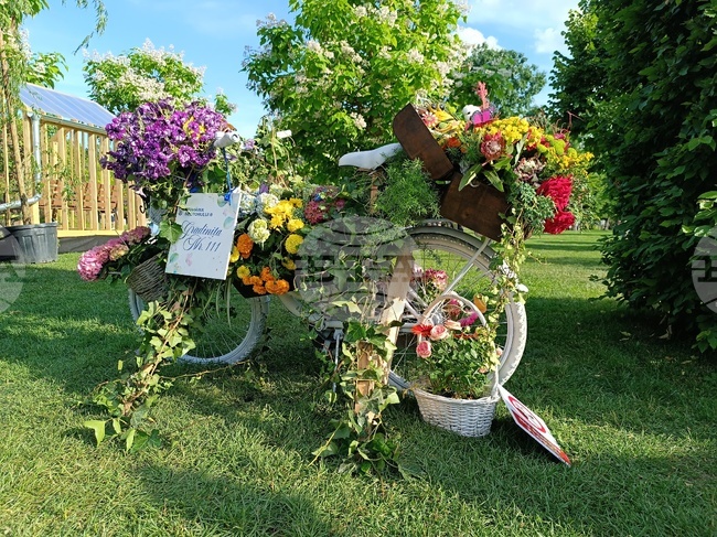 Румъния - фестивал на цветята