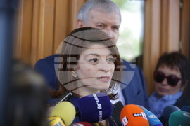 Демократична България - инициатива - Десислава Атанасова 