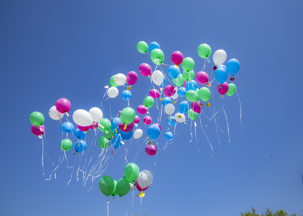 Д-р Теодора Иванова, председател на ДАЗД: Децата са най-ценното в живота ни! Честит първи юни