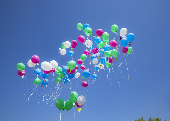 Д-р Теодора Иванова, председател на ДАЗД: Децата са най-ценното в живота ни! Честит първи юни