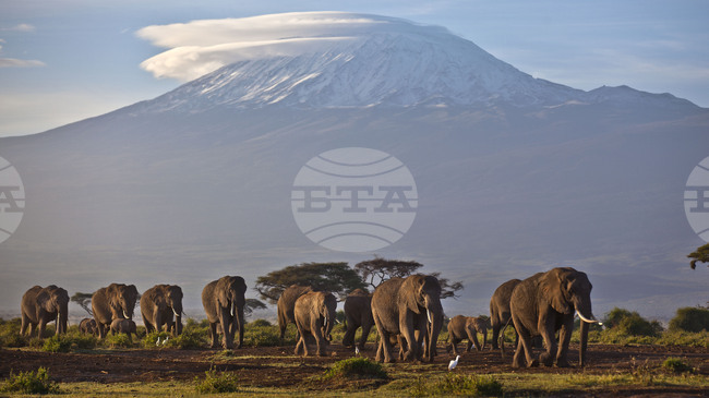 ЮНЕСКО започна експедиция за изкачване на Килиманджаро с цел повишаване на осведомеността за топенето на ледниците