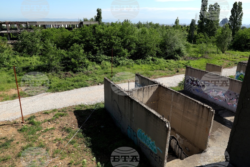 Национална детска болница - терен - разчистване