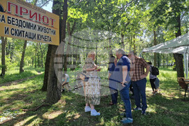 Разград - празник - Забавен ден с моя домашен любимец