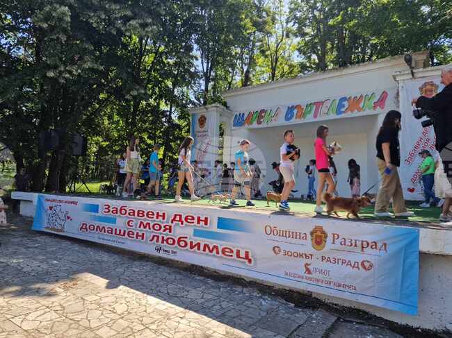 Разград - празник - Забавен ден с моя домашен любимец