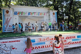 Разград - празник - Забавен ден с моя домашен любимец