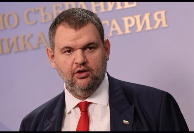 Делян Пеевски, председател на ДПС: Заедно да се погрижим децата да растат в сигурна и просперираща България. Честит празник, деца