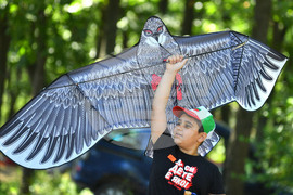 Село Свещари - фестивал на хвърчилата