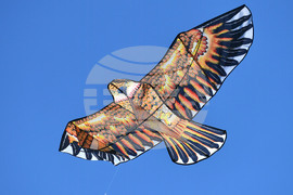 Село Свещари - фестивал на хвърчилата