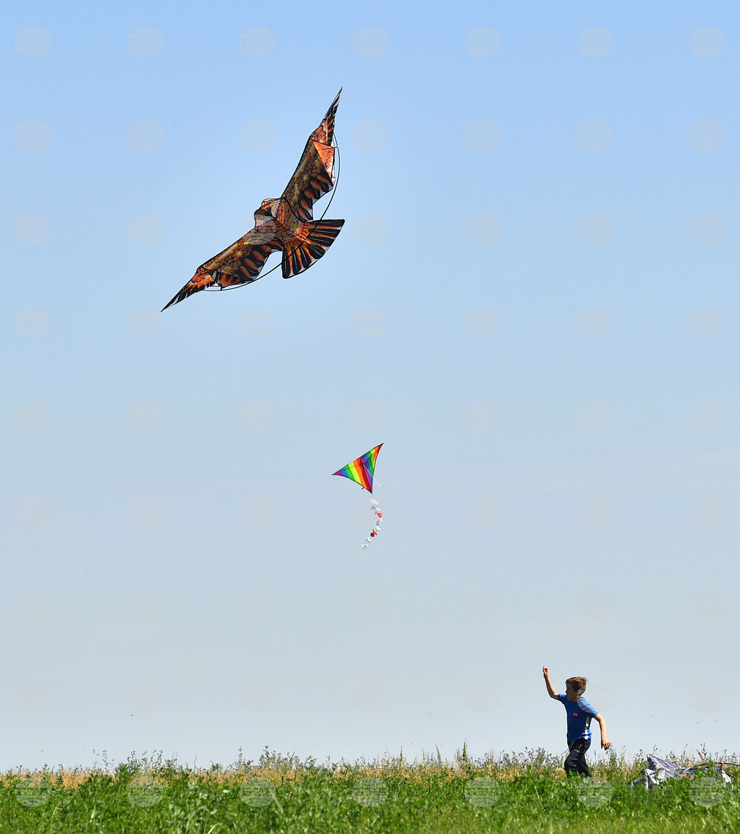 Село Свещари - фестивал на хвърчилата