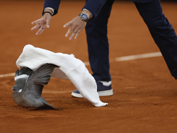 APTOPIX France Tennis French Open