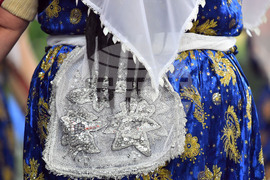 Село Брестовене - селищен празник