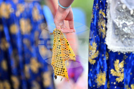 Село Брестовене - селищен празник