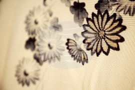 Дни на японската култура - Японските изкуства - красота и мъдрост - изложба