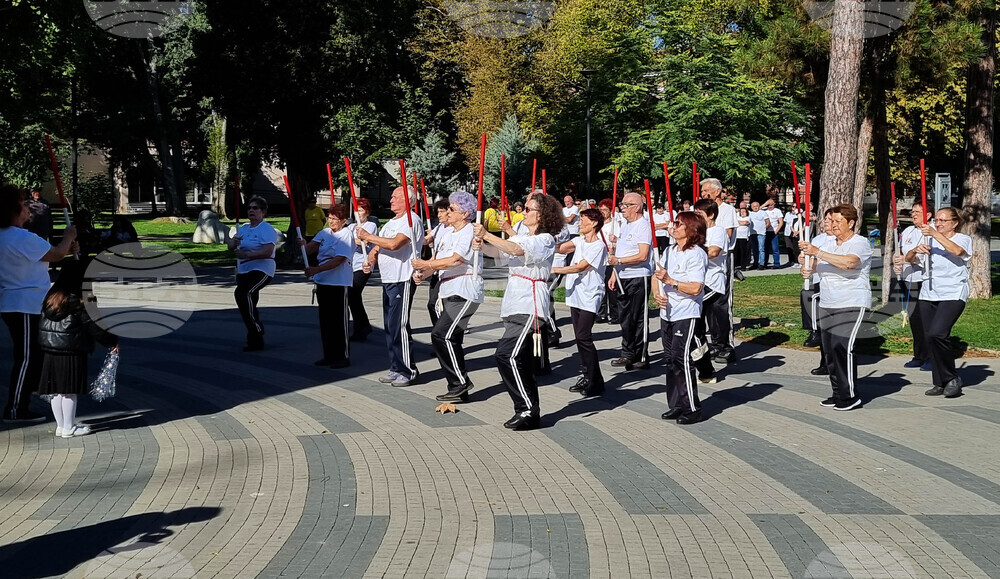 Плевен - спортен празник
