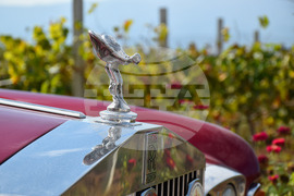 Село Капатово - ретро автомобили - музей