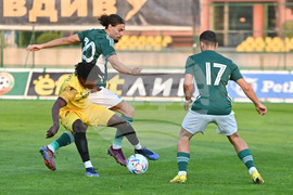 Пловдив - футбол - Ботев Пловдив - Пирин Благоевград