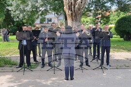 Видин - Ден на Ботев - честване