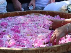 Снимка: Министерство на земеделието и храните