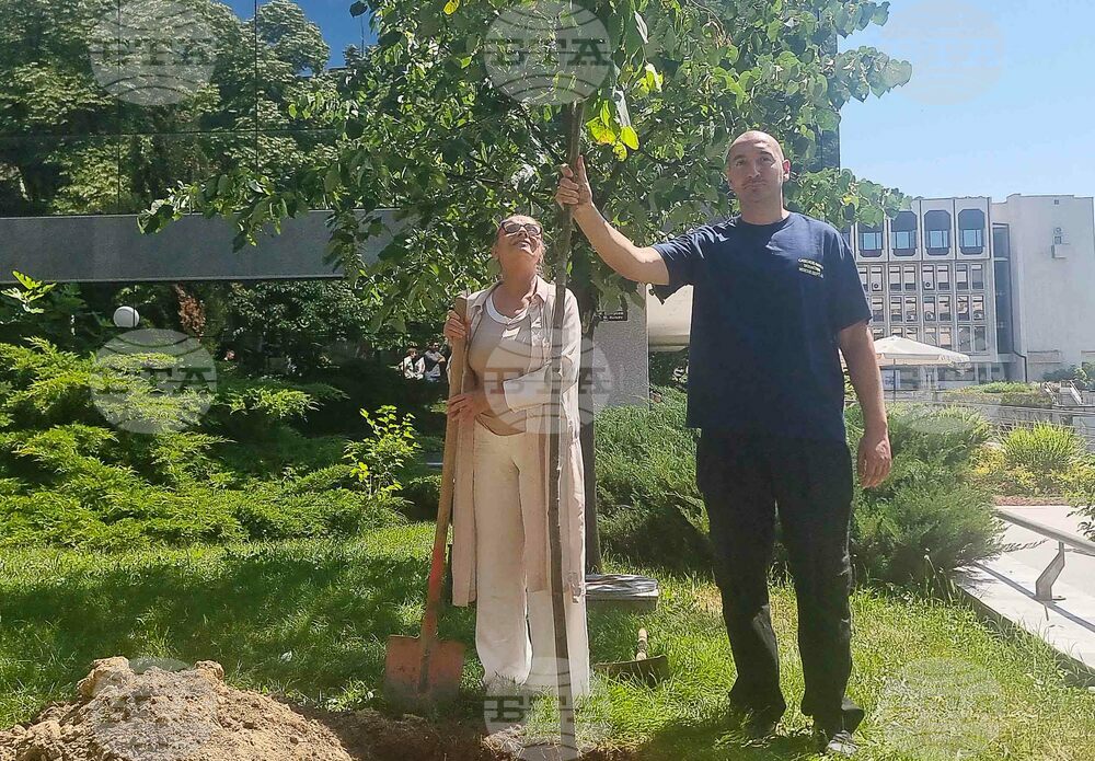 Стара Загора - Ели Скорчева - засаждане на липа