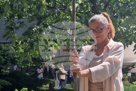 Стара Загора - Ели Скорчева - засаждане на липа