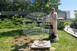 Стара Загора - Ели Скорчева - засаждане на липа