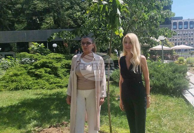 Стара Загора - Ели Скорчева - засаждане на липа