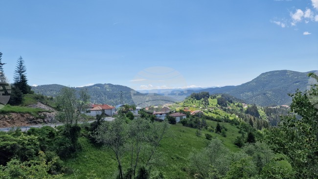 Националното сдружение на кметовете на кметства осъжда случая с побоя над кмета на с. Дъскот