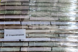 Стара Загора - бюлетини - избори