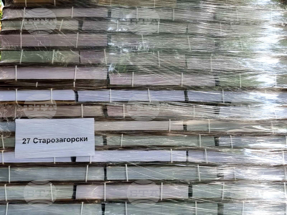 Стара Загора - бюлетини - избори