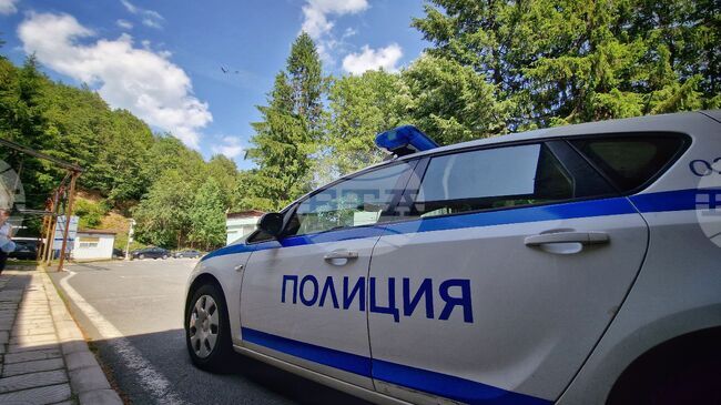 Образувано е досъдебно производство заради смъртта на куче, ихвърлено от шестия етаж на сграда в Несебър