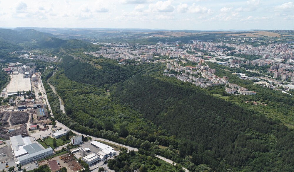 Кметът Даниел Панов предлага най-строги норми за „Кроношпан“ 
