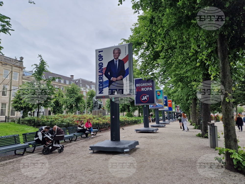 Нидерландия - евроизбори - кампания