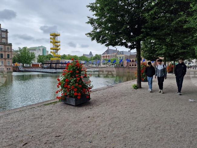 Нидерландските младежи се чувстват системно нечути от политиците, сочи проучване