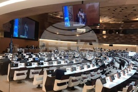 Швейцария  - ООН - Велислава Петрова