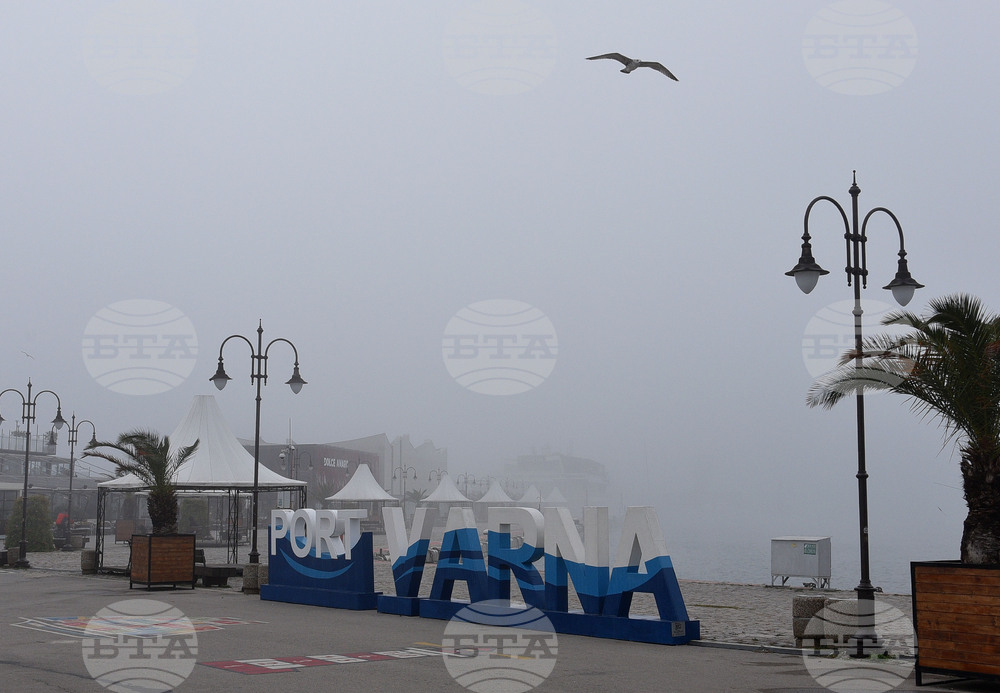 Нотариусите от Североизточна България обявяват Ден на отворените врати