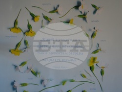 Снимка: Община Благоевград - Дарители превърнаха IV ОУ „Димчо Дебелянов“ в по-светло и приветливо място за учениците