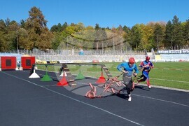 Кърджали - състезание - пожарникари