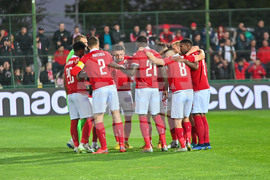 Пловдив - футбол - Ботев Пловдив - ЦСКА-София