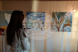 Кърджали - изложба - художници - Керимова къща