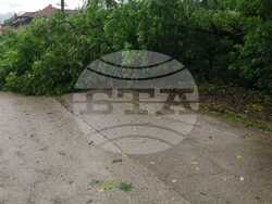 Снимка: Община Ловеч