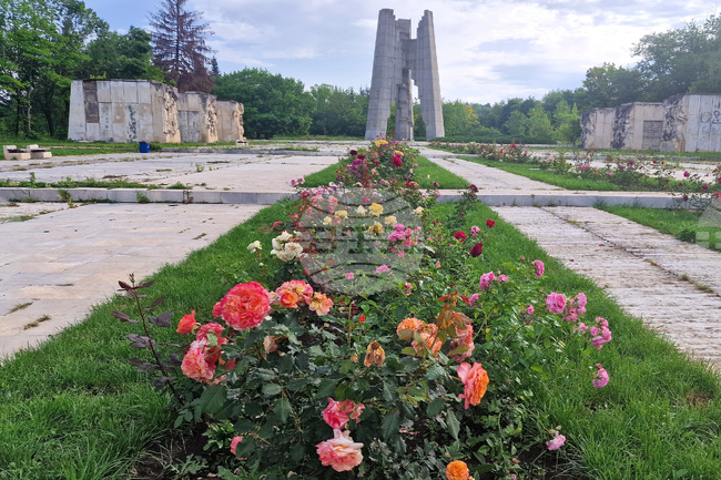  Разград - цветя - зелени площи