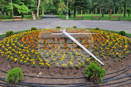 Разград - цветя - зелени площи