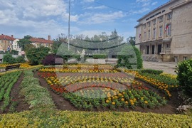 Разград - цветя - зелени площи