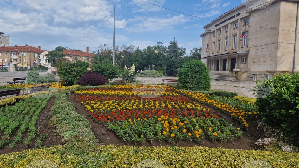 Разград - цветя - зелени площи